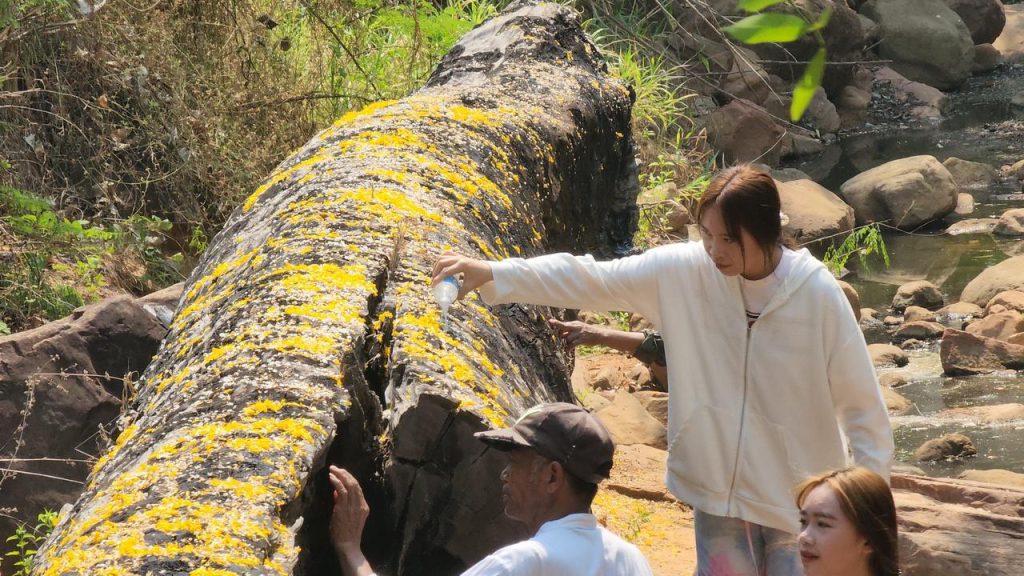 หวยดัง ตะเคียนทองยักษ์ 16-4-66