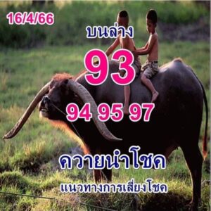 ทีเด็ดหวยควายนำโชค 1-7-66